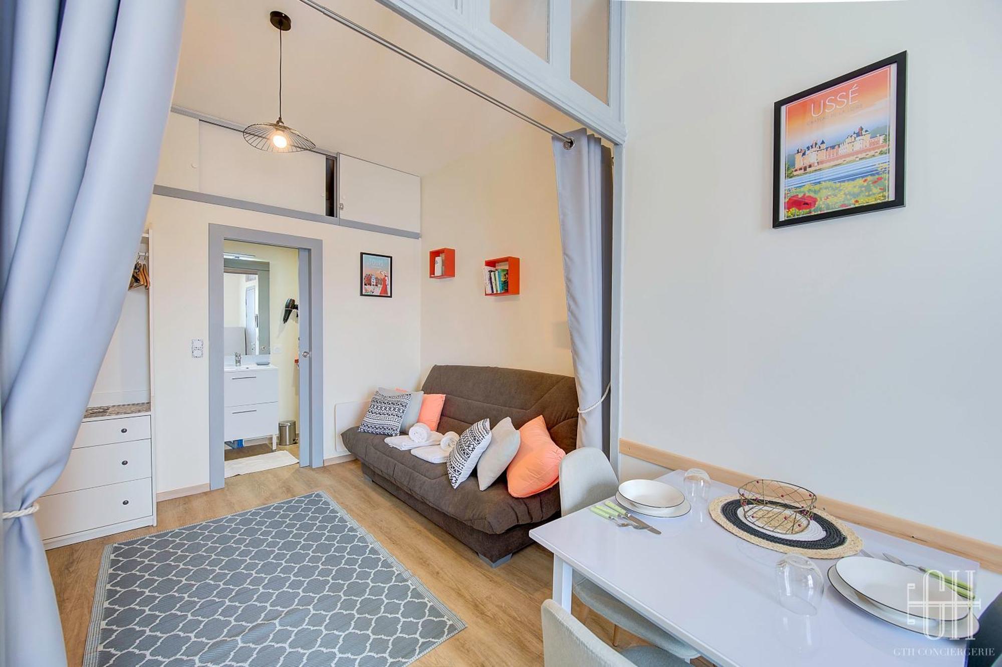 Appartement Le Vinci / Proche Chateau D'amboise